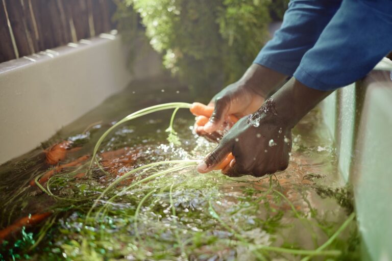 Recycling wody szarej – trendy w gospodarce wodnej budynków