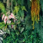 Living walls z automatycznym nawadnianiem AI – biofilia w architekturze
