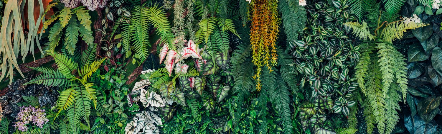 Living walls z automatycznym nawadnianiem AI – biofilia w architekturze