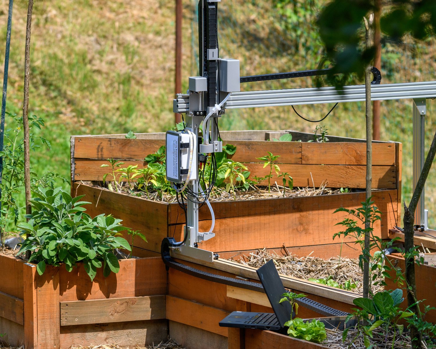 Automatyczne systemy podlewania – przyszłość nawadniania ogrodów