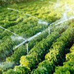 Automatyczne systemy nawadniania balkonu z czujnikami wilgotności gleby